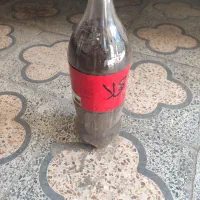 خاک آهن|گل و گیاه طبیعی|شوشتر, |دیوار