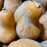 کدو حلوایی شیرین + هایپر میوه گلچین|خوردنی و آشامیدنی|شاهدشهر, |دیوار