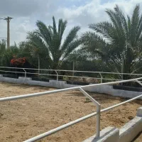 پانسیون (نگهداری) اسب