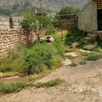 خانه ویلای روستای بنچله|فروش خانه و ویلا|جوانرود, |دیوار