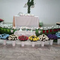 رز و لاله مصنوعی|گل مصنوعی|ساوه, |دیوار