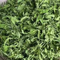 سبزی‌خشک،ترشیجات