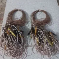 تله بلدرچین کوهی