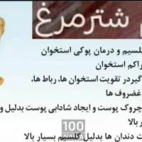 کهره بره گوسفندگاوگوساله میش بوقلمون|حیوانات مزرعه|یاسوج, |دیوار