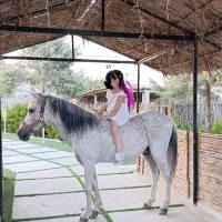 پونی دو رگ فلابلا کاسپین