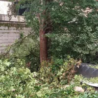فروش زمین سند دار ۱۵۰متر