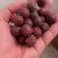 عناب خوش قیمت