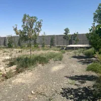 فروش زمین ۱۴۰۰ متری  خرابه امین (امینیه)|فروش زمین و ملک کلنگی|مشهد, صیاد شیرازی|دیوار