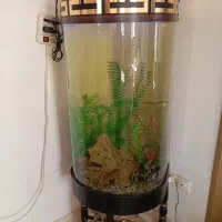 اکواریوم سایز بزرگ پایه فلز|ماهی|سیرجان, |دیوار