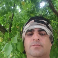 باغ ۱۵ ساله کامل با برق فنس کشی کامل و نگهبان|فروش دفتر صنعتی، کشاورزی، تجاری|دورود, |دیوار