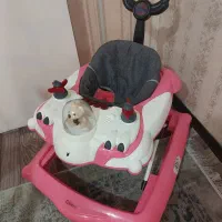 روروئک دخترونه