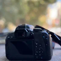 دوربین عکاسی کنون 800D EOS با لنز 50f1.4|دوربین عکاسی و فیلمبرداری|شاهینشهر, پاسداران|دیوار