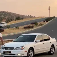 ماکسیما. بیرنگ.پلمپ.