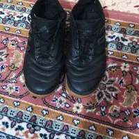 کفش سالن|کیف، کفش، کمربند|شاهین دژ, |دیوار