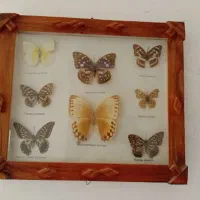 تابلو پروانه