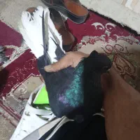 کوت عبدالله