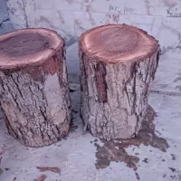 قطع درخت نخل و درختان مزاحم داخل خونه