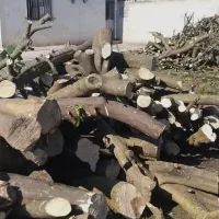 خریدار چوب مرکبات وغیره