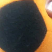 کشمش تیزابی