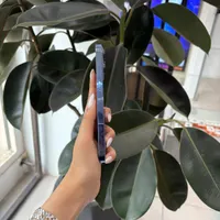 اپل iPhone 13 Pro با حافظهٔ ۲۵۶ گیگابایت|موبایل|تهران, شهرک غرب|دیوار
