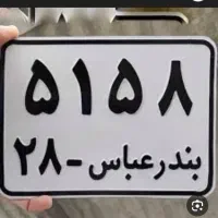 پلاک گم شده