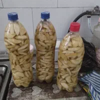ترشی کلور