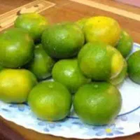 فروش نارنگی نوکنده
