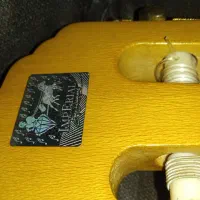 گیتار نو زیر قیمت،