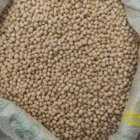 نخود آبی برای بذر