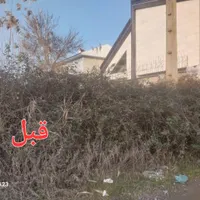 خدمات علف زنی بادستگاه علف زن در زیباکنار و رشت|خدمات باغبانی و درختکاری|رشت, گلسار|دیوار