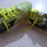 استوک نونونو