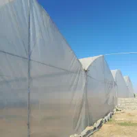 گلخانه|اجارهٔ دفتر صنعتی، کشاورزی، تجاری|مشهد, اسماعیل آباد|دیوار