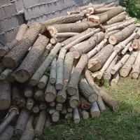 کسب کار
