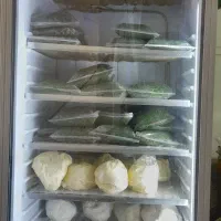 فروش وسایل سبزی خردکنی