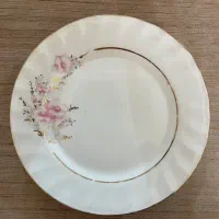 (ظروف چینی اسپیدار فرانسه) فروش فوری فوری