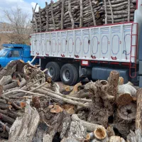 خرید وفروش چوب|خدمات باغبانی و درختکاری|یزد, |دیوار