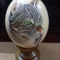 پوسته شتر مرغ