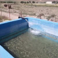 چهار جریب باغ  مزرعه دماوندی