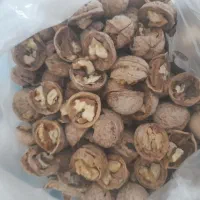 گردو کاغذی|خوردنی و آشامیدنی|مشهد, شهید علی محمدی|دیوار