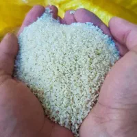 برنج درگز بذر طارم و دمسیاه|خوردنی و آشامیدنی|مشهد, توس (بلوار توس)|دیوار