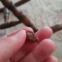 سنگ زیبا|کلکسیون اشیاء عتیقه|قم, باغ کرباسی|دیوار