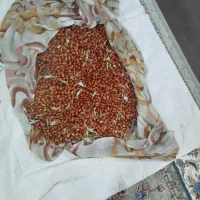 سنجد|خوردنی و آشامیدنی|باسمنج, |دیوار