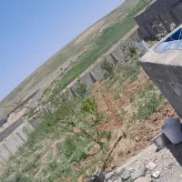 خدمات باغبانی مرادی