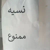 دو عدد فرش ۵۰۰شانه ۶متری ریزماهی اصل آکرولیک|فرش|نقده, |دیوار