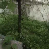 فروش یا معاوضه ملک در فرج آباد چالوس|فروش خانه و ویلا|چالوس, |دیوار