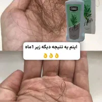 محصولات نانو وزیبایی|آرایشی، بهداشتی، درمانی|شیراز, دانشگاه شیراز|دیوار