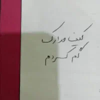 کیف مدارکم گمشده  مژدگانی میدم هرکی پیدا کرده