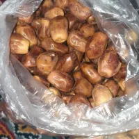 گردو انجیر خرما قصب شیره انگور|خوردنی و آشامیدنی|شیراز, مسلم|دیوار