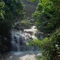 اخذ-سند-تک-برگ-ملک-در-لواسان