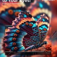 تلویزیون ۴۳ اینچ اسمارت آندروید ویدوکان اصل آکبند|تلویزیون و پروژکتور|رشت, اسماعیل آباد|دیوار